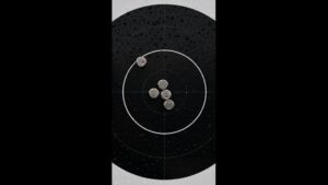 Du biathlon en Île-de. El título no debe incluir ningún código HTML o etiquetas como , ni
