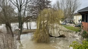 Alerte aux crues : montée rapide du niveau de leau du Loing en Seine-et. El título no debe