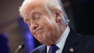 Trump, la Cour suprême et les droits de douane : quel impact sur léconomie mondiale ?. El
