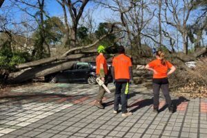 Tempête Nils : rafales de 150 km/h, routes obstruées par des arbres et coupures délectricité,