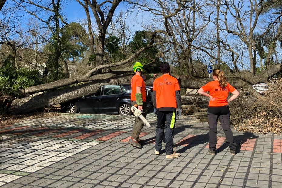 Tempête Nils : rafales de 150 km/h, routes obstruées par des arbres et coupures délectricité,